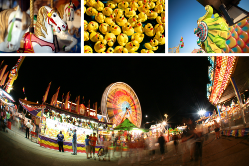 Top 10 Things to Do at the Green County Fair