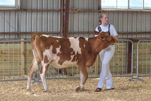 New Glarus 4-H Club Thanks FFA Alumni for Generous Donation