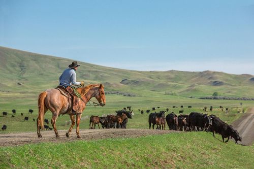 Photo Essay: A Place for Cowboys in Wisconsin