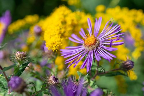 September Begins to Turn the New Glarus Landscape