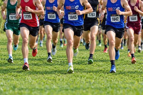 New Glarus-Monticello Girls 3rd at Dana Waddell Invite, Boys 5th