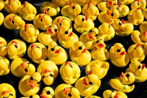New Glarus Vision Launches Duck Race Fundraiser