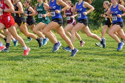 Mitchell, Maynard Lead New Glarus-Monticello at River Valley