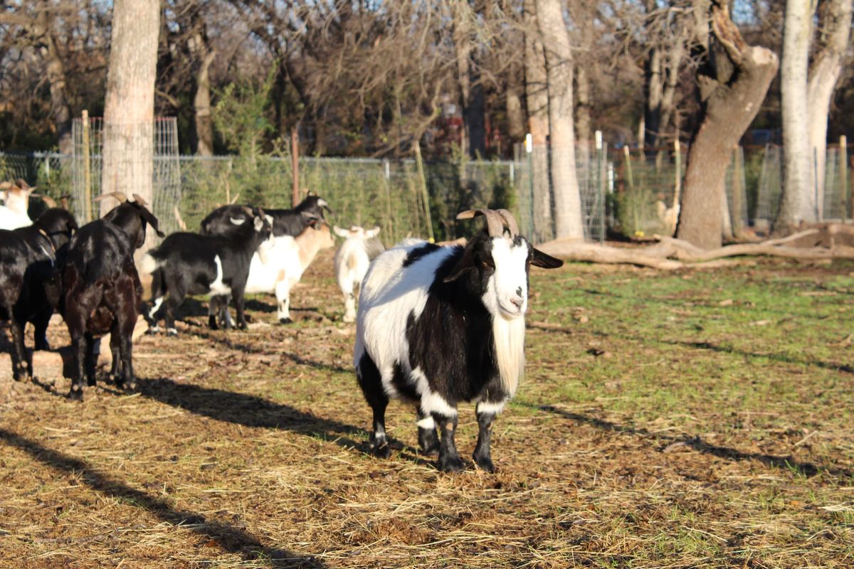 Hello, new blog & newsletter!