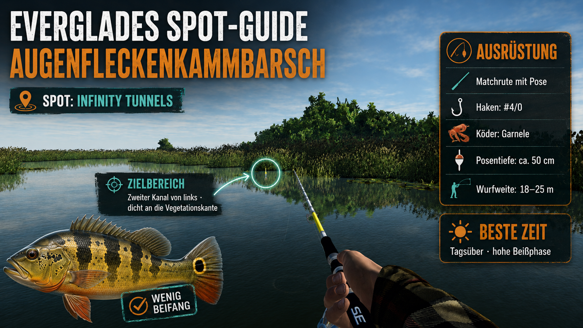 Augenfleckenkammbarsch in den Everglades fangen – Spot, Köder und Wettkampf-Guide