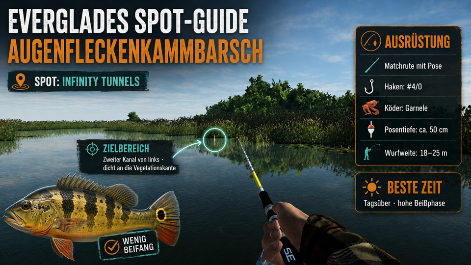 Augenfleckenkammbarsch in den Everglades fangen – Spot, Köder und Wettkampf-Guide