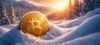 Bitcoin in Winter and Why That Might Be the Point