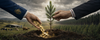 Taxpayers Bankroll Foreign “Carbon Farm” Takeover