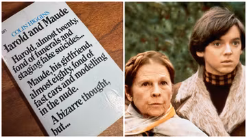 No, But I Read the Book: ‘Harold and Maude’