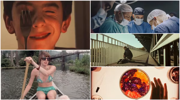 Pairing Off at the 2026 True/False Film Festival