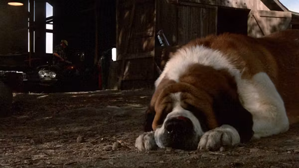 Open Question: What's the best Stephen King adaptation (not counting the six canonical classics)?