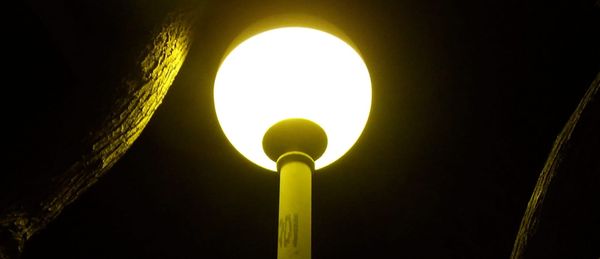 Fotografia, de nit, d'un fanal de forma esfèrica il·luminant molt feblement les siluetes de les branques dels arbres que té al voltant.