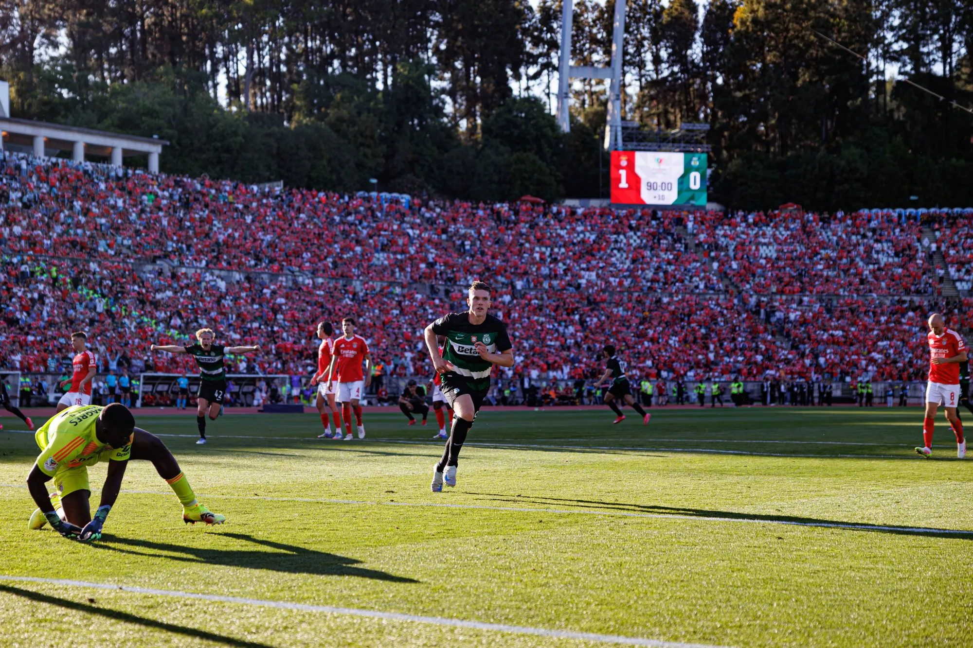 Viktor Gyokeres celebrates after scoring for Sporting CP