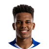 Estevao Willian