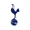 TagTottenham