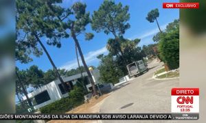 Arsenal Fans Buzz with Excitement as Viktor Gyokeres Transfer Nears Completion