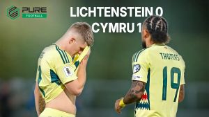 Wales Narrowly Edge Past Liechtenstein to Keep World Cup Dream Alive