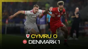 Danny Ward Error Condemns Wales to Narrow Denmark Defeat