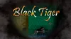 The Golden Age of Gaming: A Look at Black Tiger