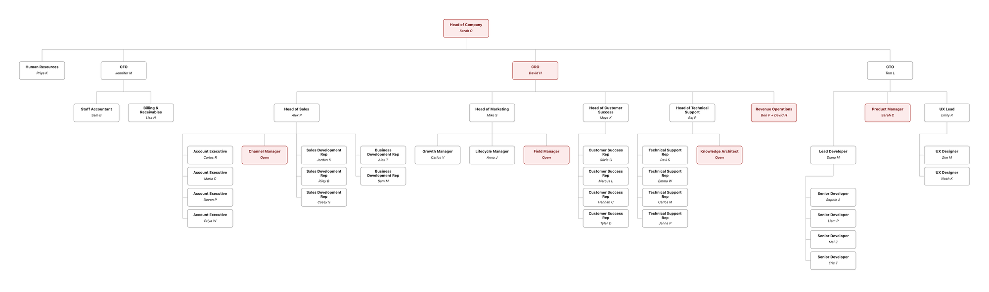 Pillar HR's Functional Organization Chart. Seat position determines competency tier: Head of Company at the top is Executive, the leadership team one layer down is Department Head, the next layer is People Manager, and the leaves are Individual Contributor.