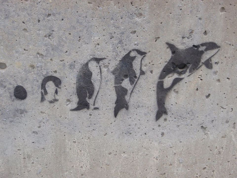 A Year-End Review Personal Evolution Process (P.E.P.) for 2021