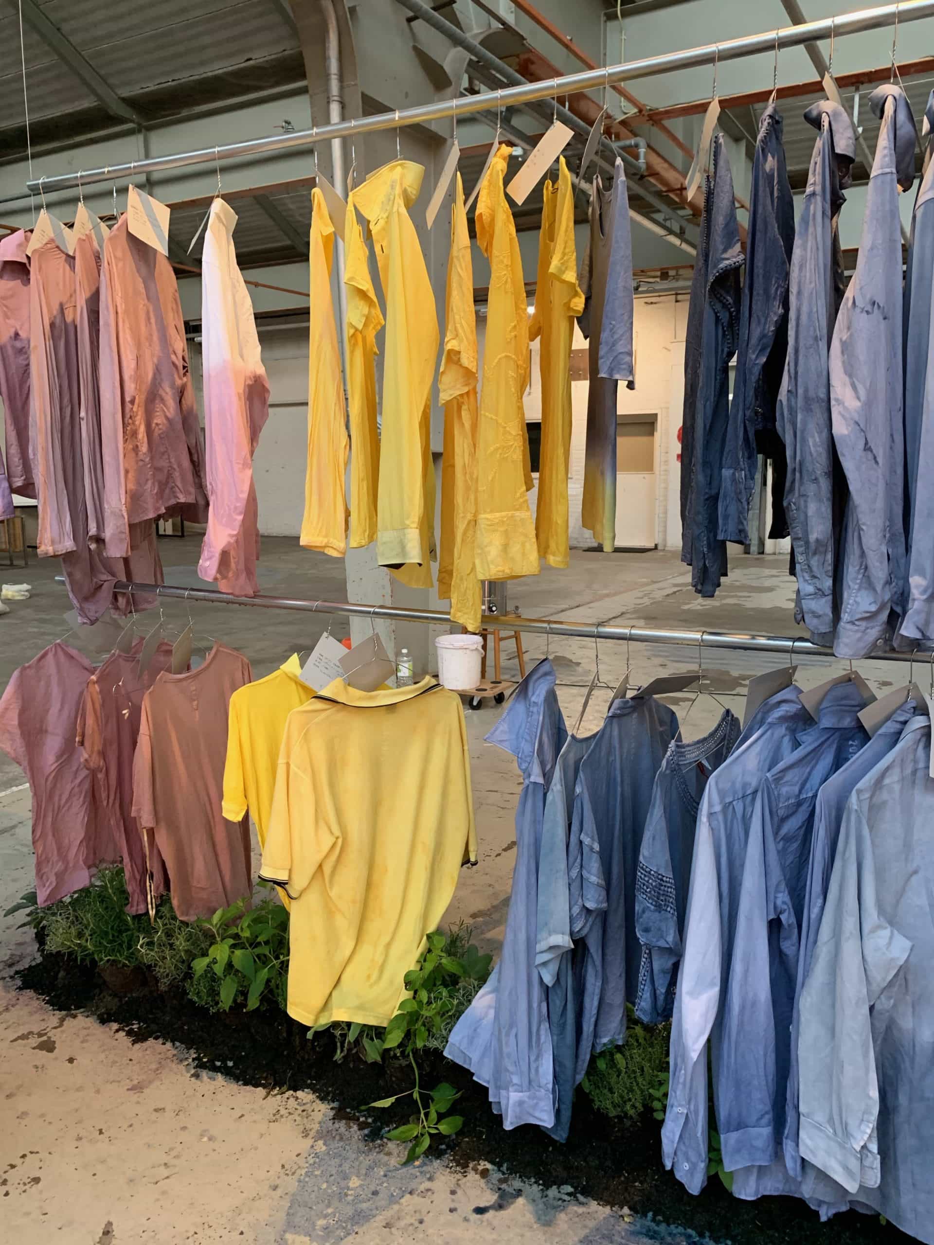 Dutch Design Week — HERBS