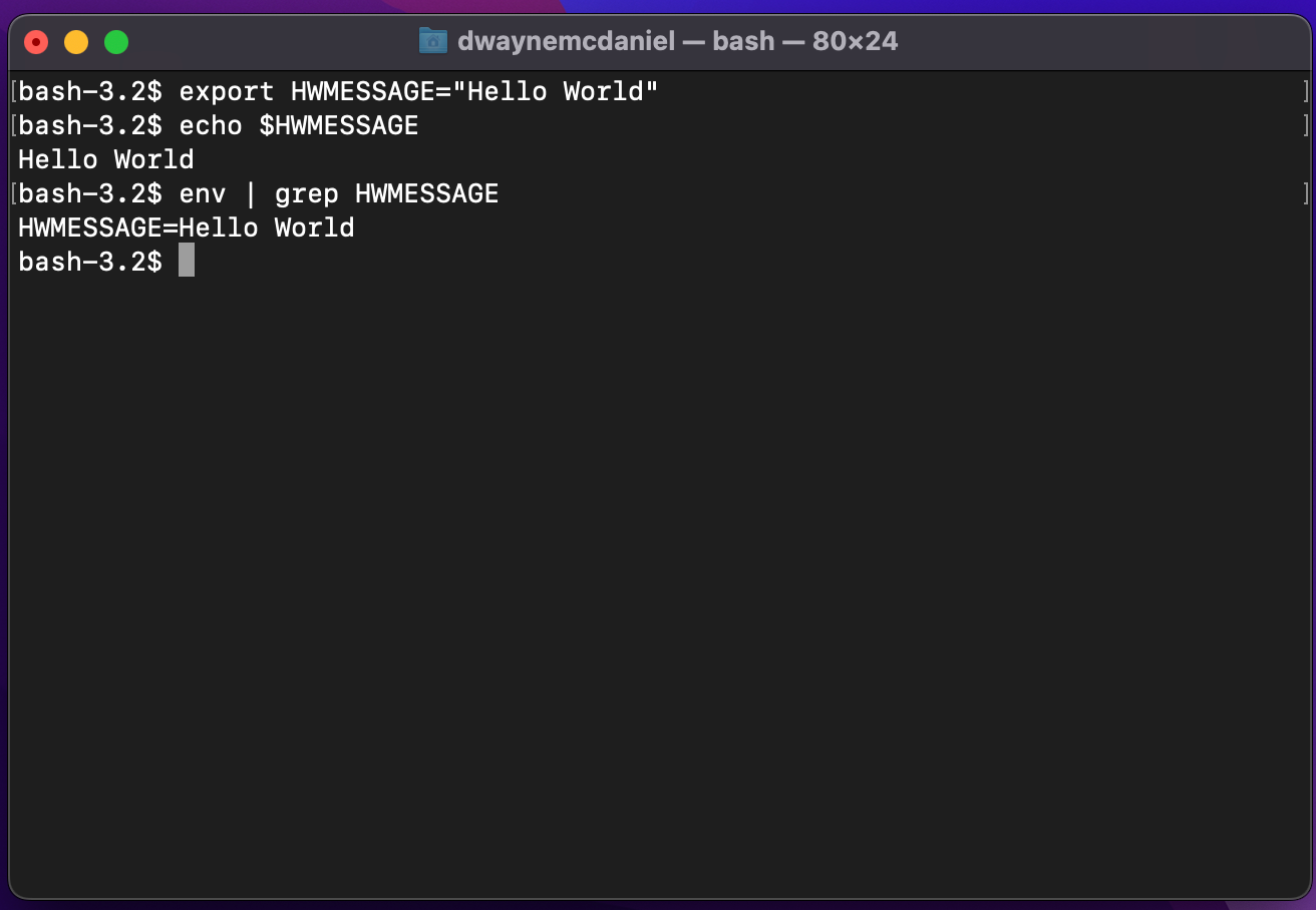 Example of an environmental variable being set and showing it stored as part of the env command