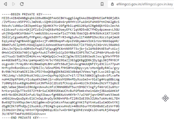 Screenshot of exposed RSA key