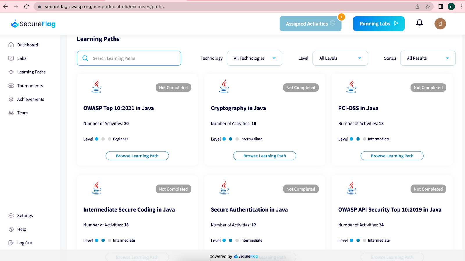 The SecureFlag dashboard