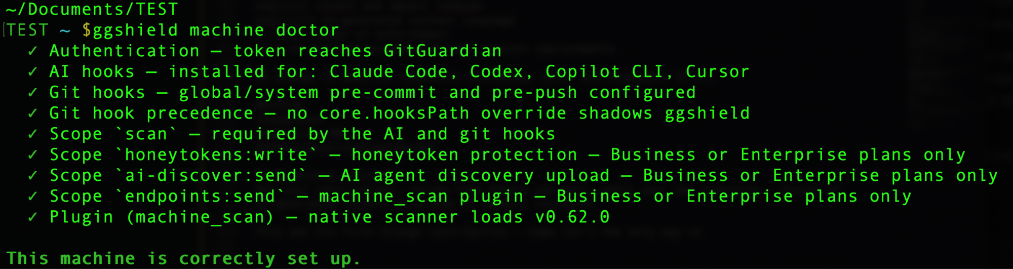 ggshield machine doctor showing ggshield was set up successfully