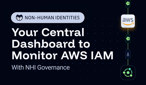 How to Use NHI Governance as Your Central Dashboard to Monitor AWS IAM