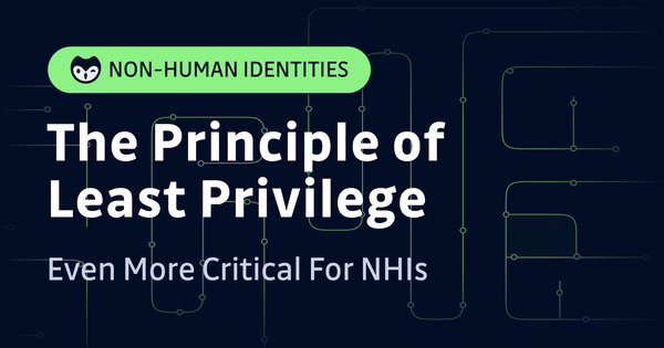 Why the Principle of Least Privilege Is Critical for Non-Human Identities