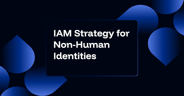 Identity Access Management Strategy for Non-Human Identities