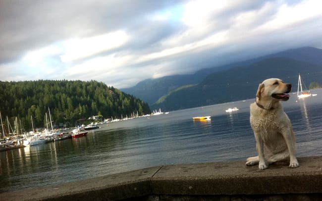 karma at deep cove
