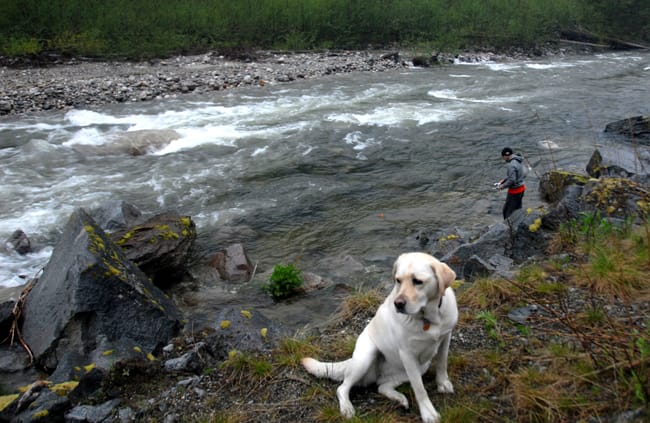 interior fishing