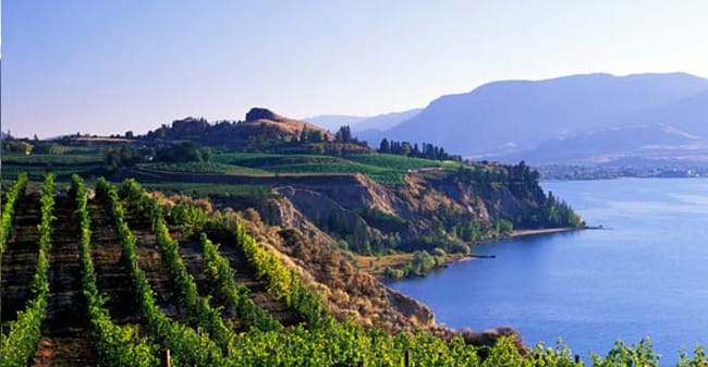 okanagan-wine-country11.jpg