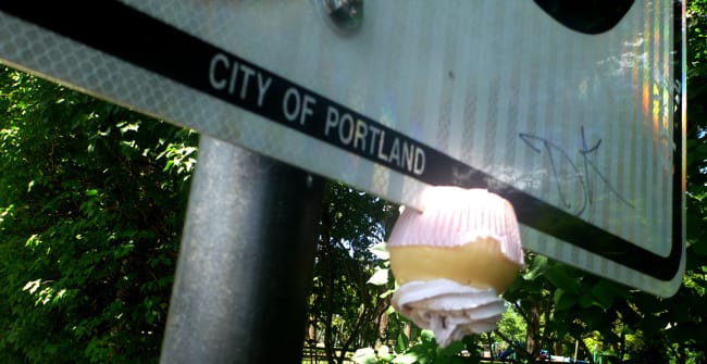portland cupcake