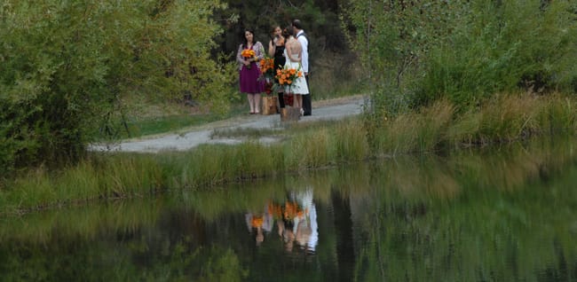 reflection