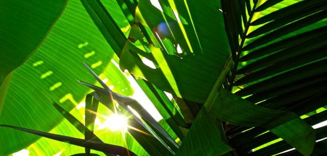 nayarit-holiday11.jpg