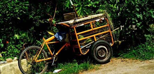 nayarit holiday7