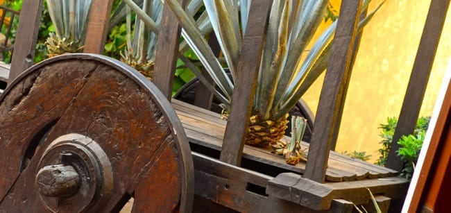 agave cart
