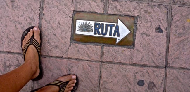 tequila ruta
