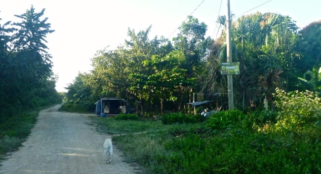backpackers paradise