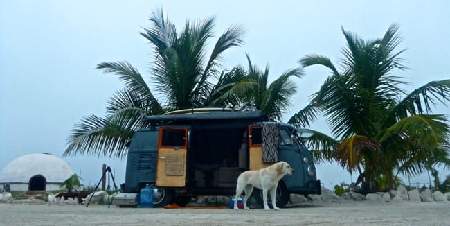 camp under palms