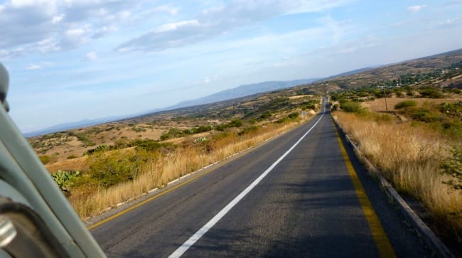 guanajuato farmland