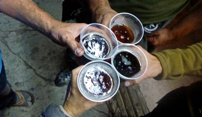 maya rally toast