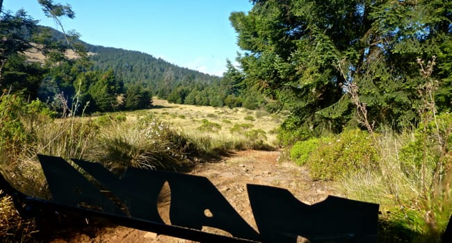 offroading in the reserve