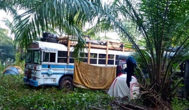 rainbow gathering camp2