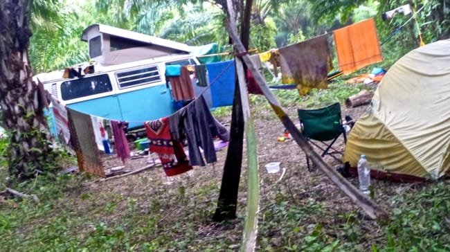 rainbow gatheringcamp