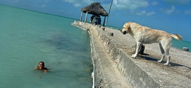 sarteneja pier3